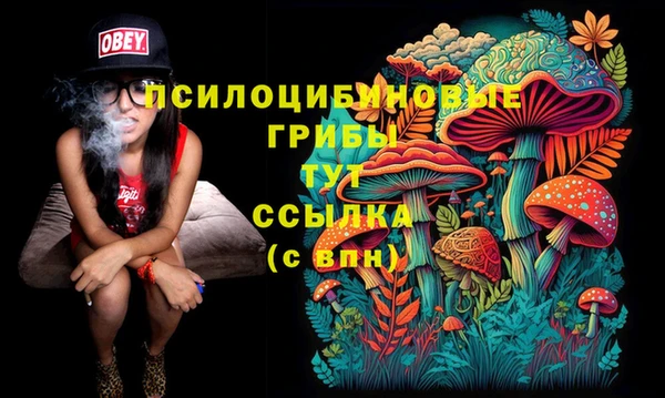МДПВ Новодвинск
