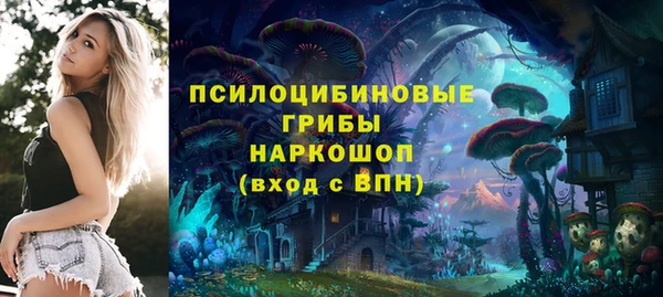 МДМА Новозыбков