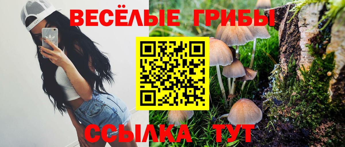 Псилоцибиновые грибы Cubensis  Балабаново 