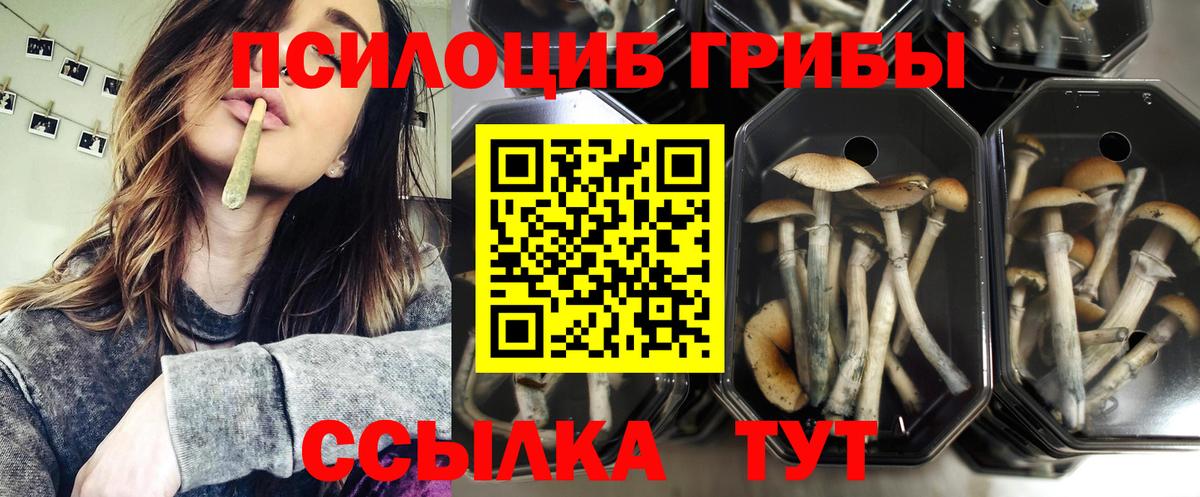 Псилоцибиновые грибы GOLDEN TEACHER  Вход с VPN  Балабаново 
