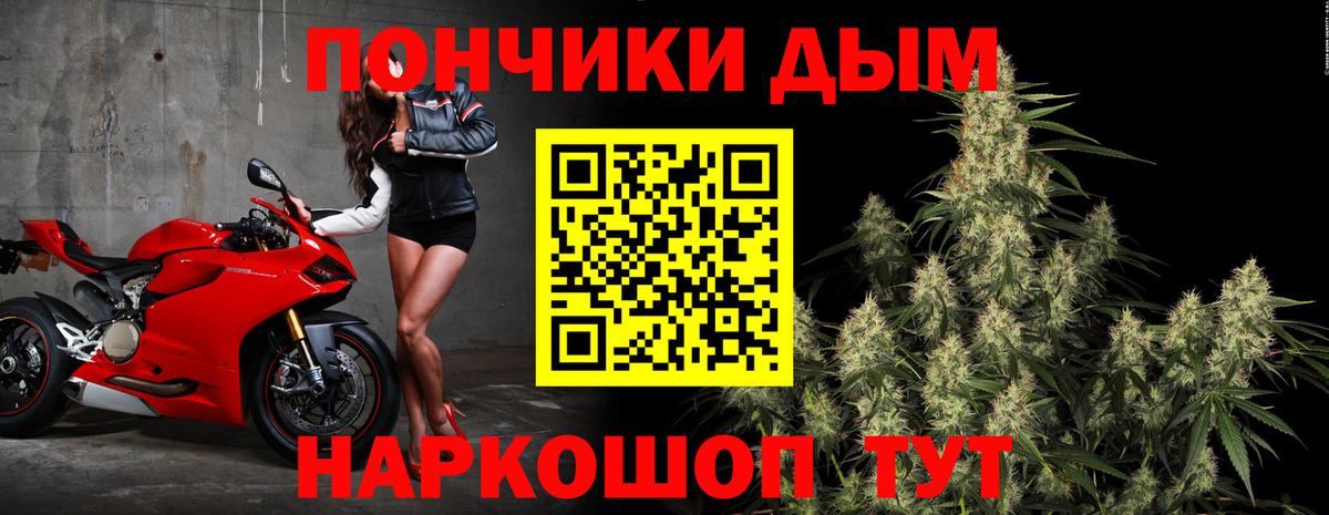 Бошки марихуана гибрид  Балабаново  Каннабис MAZAR  Конопля Bruce Banner 